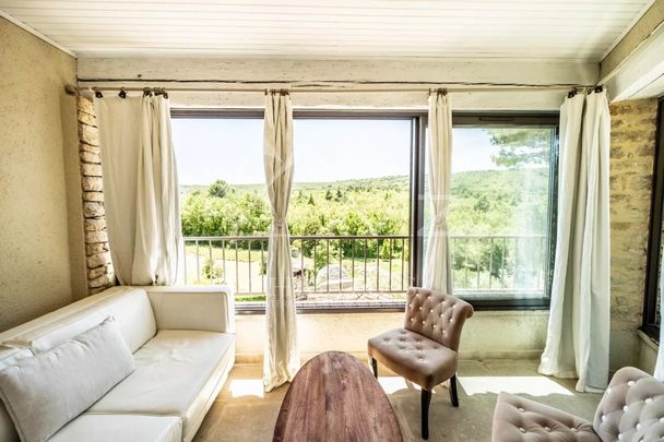 Bonnieux - Superbe mas avec piscine chauffée - Photo 1