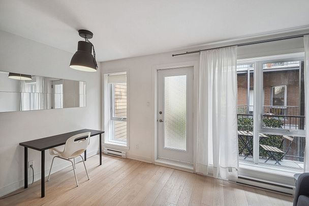 Condo for rent, Montréal (Le Plateau-Mont-Royal) - Photo 1