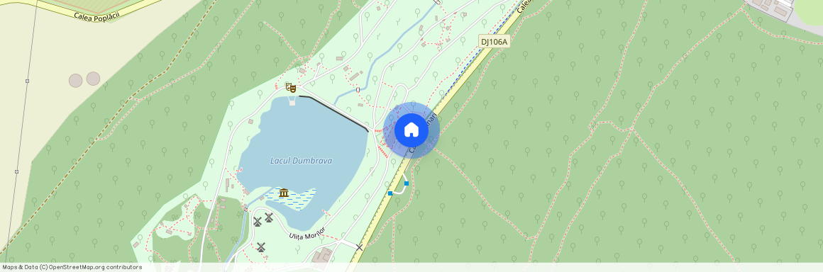 Strada Padurea Dumbrava