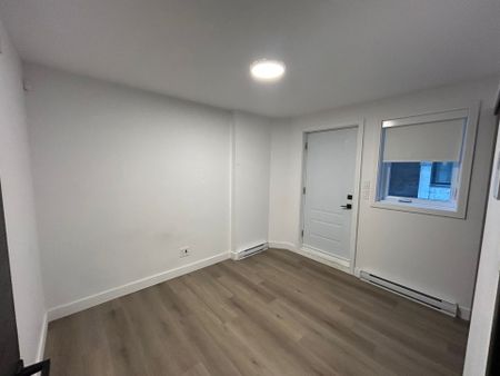 2801 Rue Jasmin - Photo 4