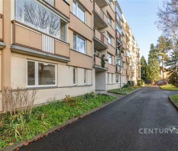 Pronájem bytu 1+1, Děčín - Staré Město - Photo 4