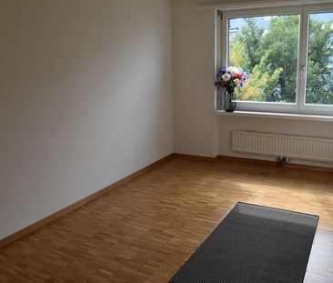 Familienfreundliche Wohnung in Wetzikon ZH zu vermieten - Photo 6