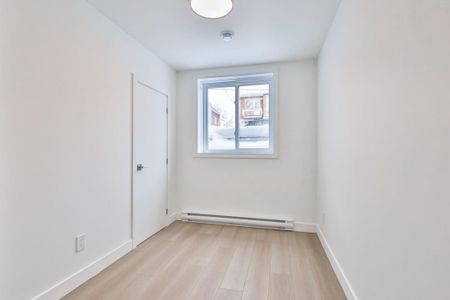 10772A Av. De Lorimier, H2B 2J5, Montréal - Photo 3