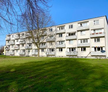 Einzug leicht gemacht: 3,5-Zimmer-Wohnung ab sofort frei! - Foto 5