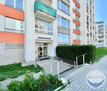 Pronájem bytu 1+kk 33 m2 - Fotografie 3