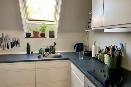 God placering i Brønshøj - Photo 3