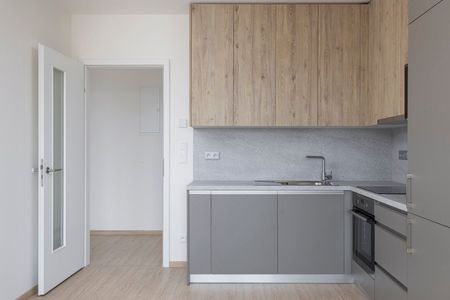 Pronájem bytu 2+kk • 47 m²Haenkeho, Praha - Řeporyje - Photo 5