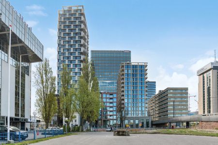 Te huur: Van Sijpesteijnkade 253 - Foto 3