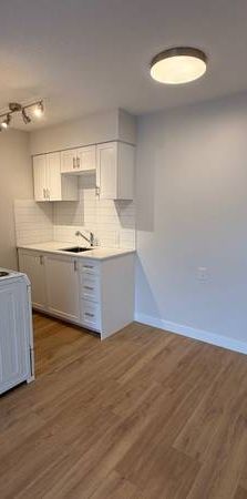 Fully Renovated 1 Bedroom - Photo 1