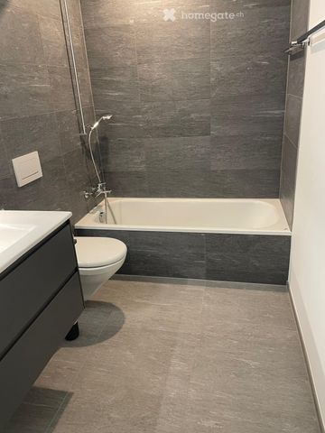 Nachmieter gesucht für neue 3.5 Zimmer Attikawohnung in Richterswil - Foto 3