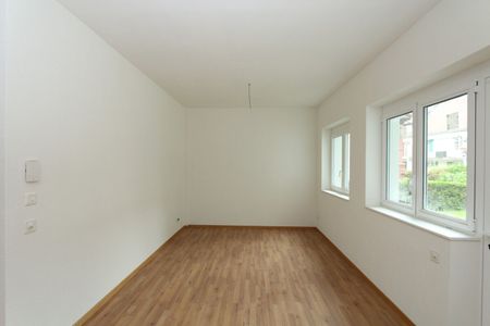 Large renovated apartment - Photo 5