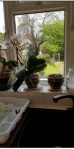 Room in a Shared House, Park Ridings Hornsey London, N8 - Photo 3