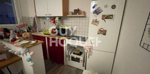 Appartement T2 climatisé, avec balcon, secteur Palissy - Photo 2