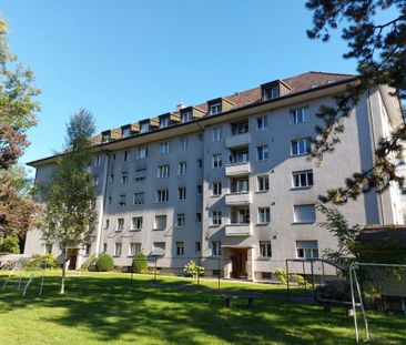 2.5 Zimmer, 44 m², 3. Stock - Foto 5