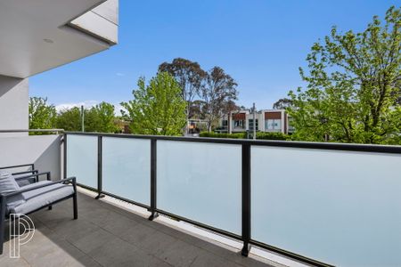 7/16 Berrigan Crescent, O'Connor ACT 2602 - Apartment For Rent | Domain - Photo 3
