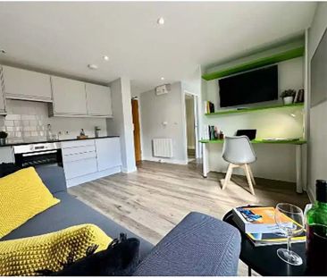 Premium Apartment - Photo 4