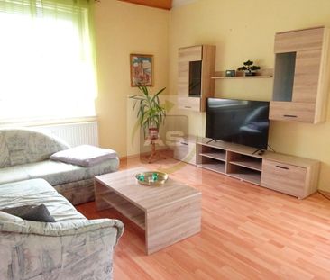 Zuhause auf den ersten Blick - Photo 4