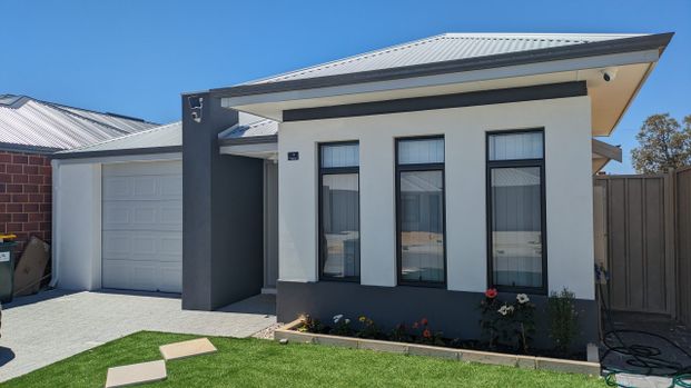 ROOMS In All FEMALE-HOUSEHOLD!! BRAND NEW FURNISHINGS!! - Photo 1