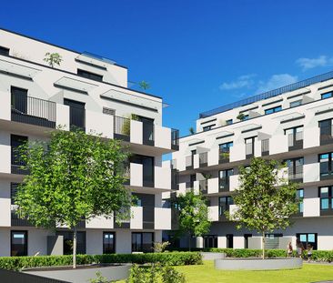 Echtes Penthouse, 3-Zimmer und große umlaufende Terrasse - Photo 6