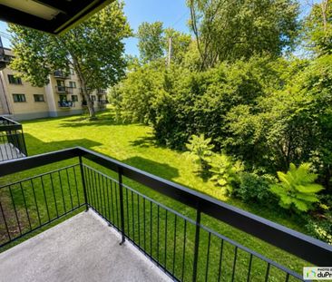 113-5205, Riviera, Pierrefonds / Roxboro à louer - Photo 3