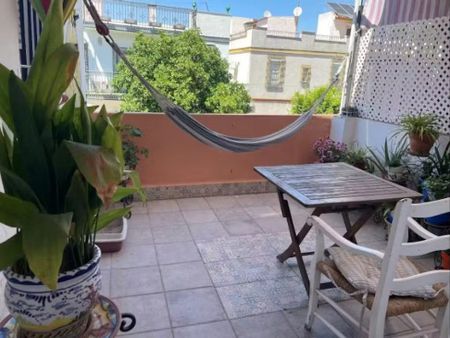 Calle Simón de Pineda, Sevilla, Andalusia 41005 - Photo 2