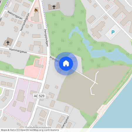 Prästgatan, Vännäs