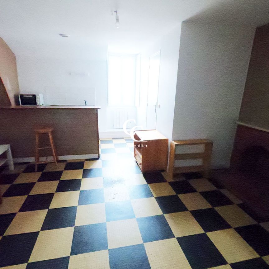 Location Appartement 1 pièce 22m² NANTES 44000 - Photo 1