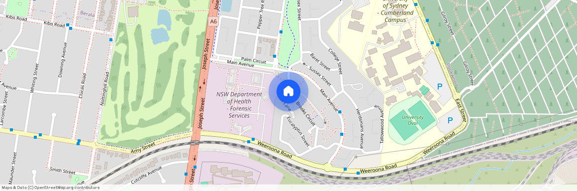 31 Brooks Circuit, NSW 2141, Lidcombe