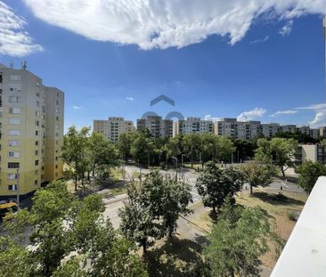 Kiadó lakás, H517190 - Fotó 5