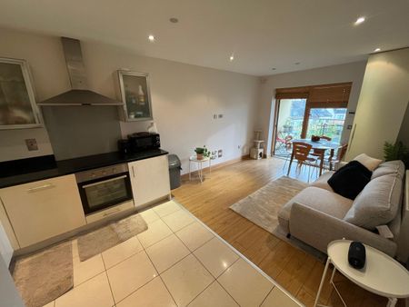 Beech House, Carrickmines, Dublin 18 - Photo 3