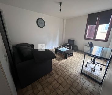 Appartement T1 Belfort à louer - Photo 5