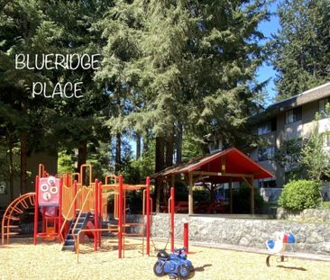 Blueridge Apartments - Photo 4