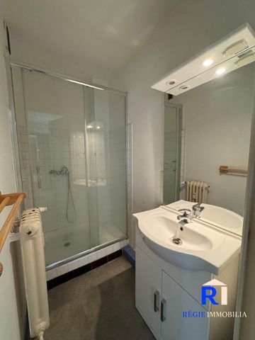 Location Appartement 2 pièces 43m² GRENOBLE 38100 - Photo 4