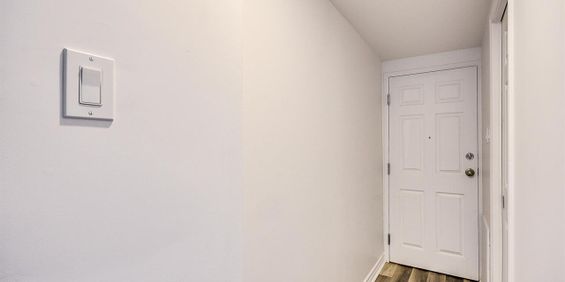 145 Rue Champlain (Hull) Super Beau Studio Bien Place - Photo 3