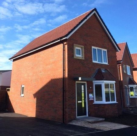 Orchid Grove, Shirebrook, Mansfield, Derbyshire, NG20 - Photo 2
