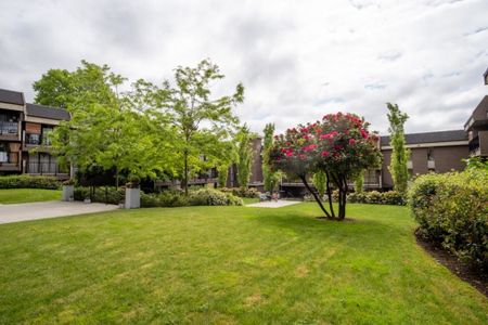 Cedar Terrace - Photo 2