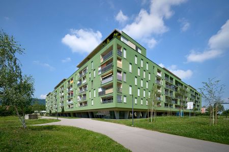 2,5-Zimmer-Wohnung - Foto 2