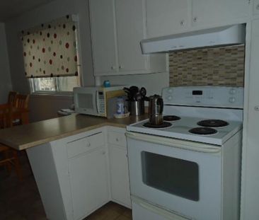 5 ½ Candes Anjou 1 er juin - Photo 4