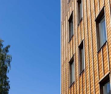 Gruvgatan, Skellefteå - Photo 1