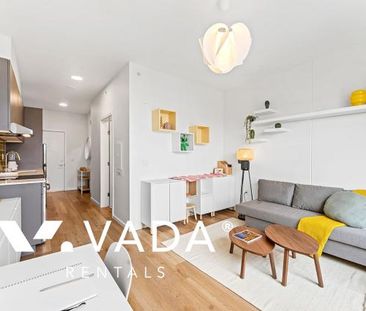 Brand New, Pet Friendly Studios For Rent - Photo 1