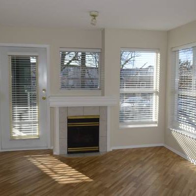 super clean! safe! quiet! two bedroom new floor Maple Ridge - Photo 3