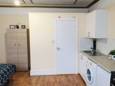 Studio Flat, Grenoble Gardens, N13 - Photo 3