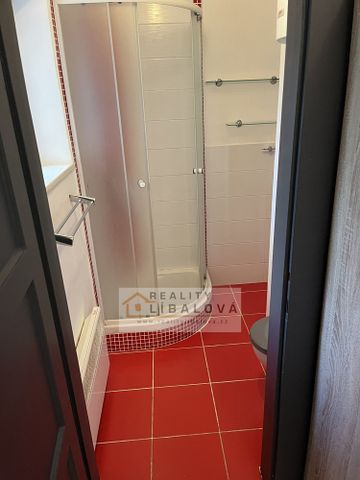 Pronájem bytu 2+1 49 m² - Photo 4