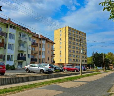Pronájem bytu 2+kk v osobním vlastnictví 43 m², Hrušovany u Brna - Fotografie 5