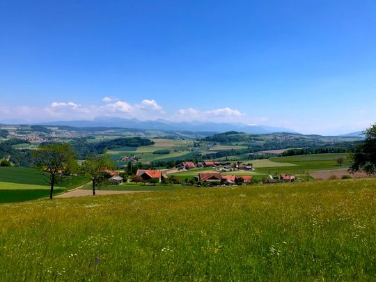 3.5 Zimmer, 68 m², 1. Stock - Foto 1