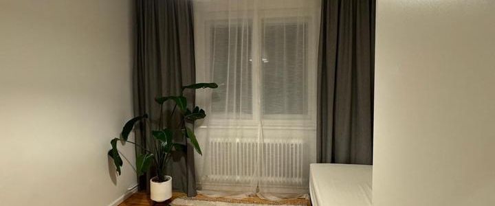 WG Zimmer zu vermieten ab sofort - Photo 1