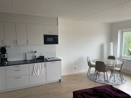 Dressinvägen, Båstad - Photo 3