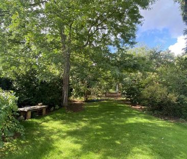 4 bedroom semi-detached house to rent - Photo 3