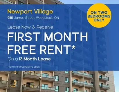 Newport Village | 955 James Street, Woodstock - Photo 1