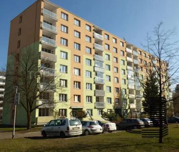 Pronájem, Garsoniera (Byt 1+kk), 20 m - Fotografie 3